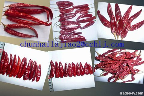 red chili powder