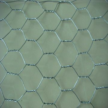 Hex Netting