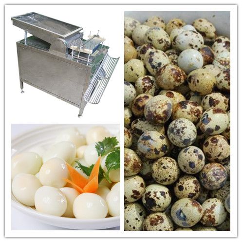 Quail eggs peeling machine