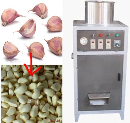 Garlic Peeling Machine