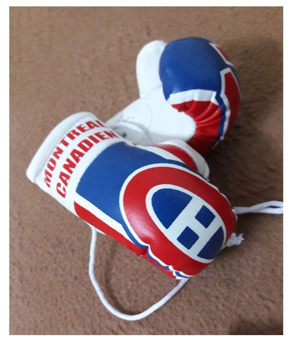 Wholesale Cheap Price Pair of Hanging Mini Boxing Gloves &Atilde;&cent;&iuml;&iquest;&frac12;&iuml;&iquest;&frac12; Black & White