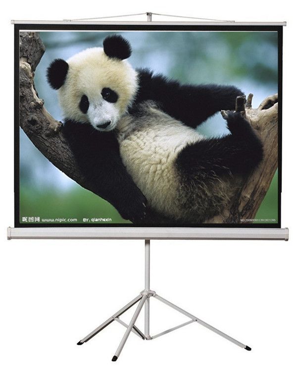 Tripod stand projector screen