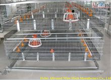 Chciken Coop Broiler Cage