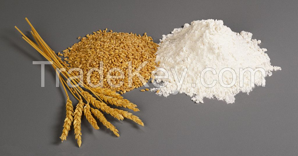 Good flour wheat flour bread flour for sale