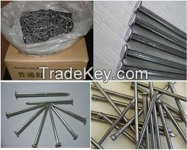 Electro Galvanized Common Wire Nail/Common Iron Wire Nails/Bright Common Nails