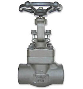 Forged Steel Socket Weld Gate Valves (Z61H)