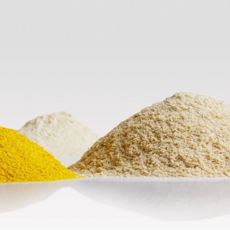 Nutritional Yeast Ingredients