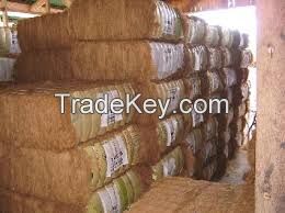 High  quality  COCONUT FIBER