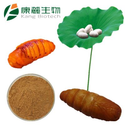 Silkworm Pupa Powder