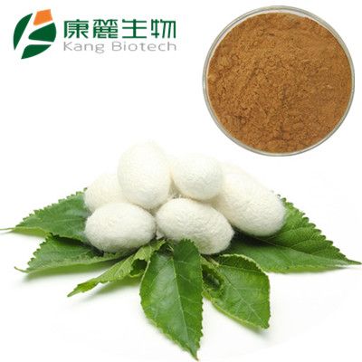 Silkworm Pupa Powder