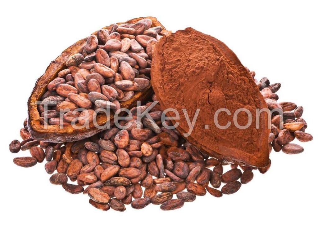 Cocoa Beans