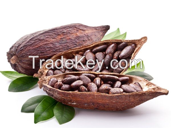 Cocoa Beans