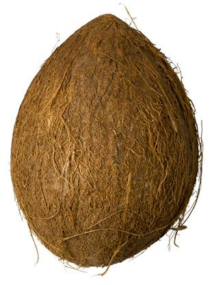 Coconut Fiber