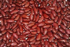 Kidney Beans