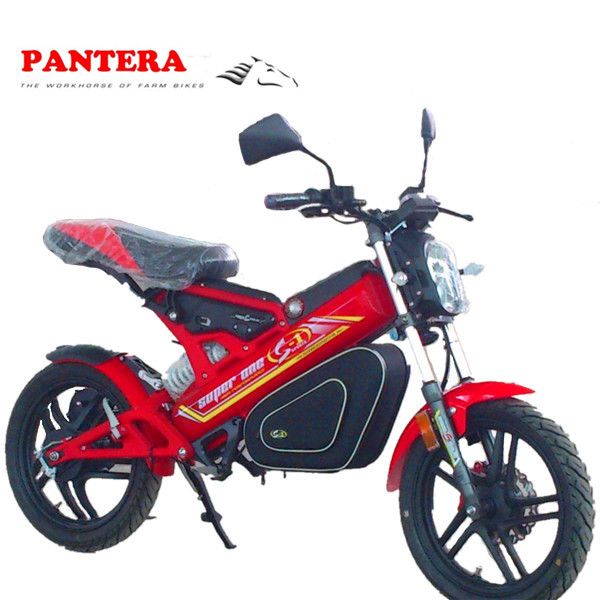 PT-E001 Cheap Popular Folding  Electric Bicycle