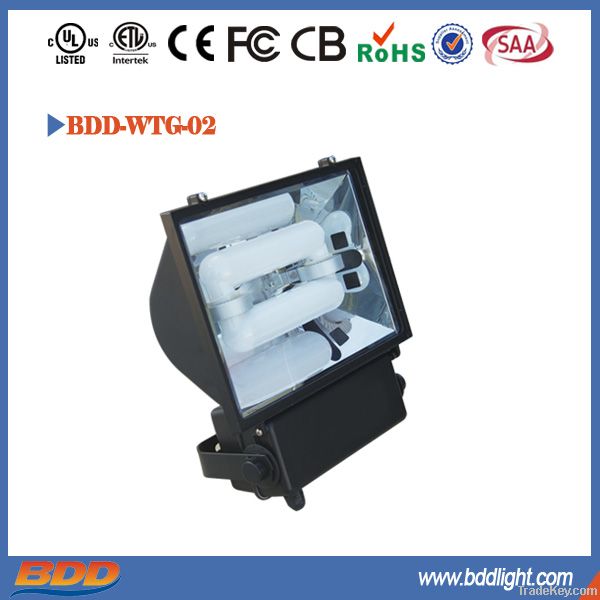 Induction Lamp Flood Light