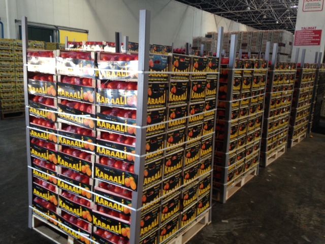 citrus fruit,cherry,grape,tomato,cucumber,pepper,pomegranate,fig,peach.pear,apricot