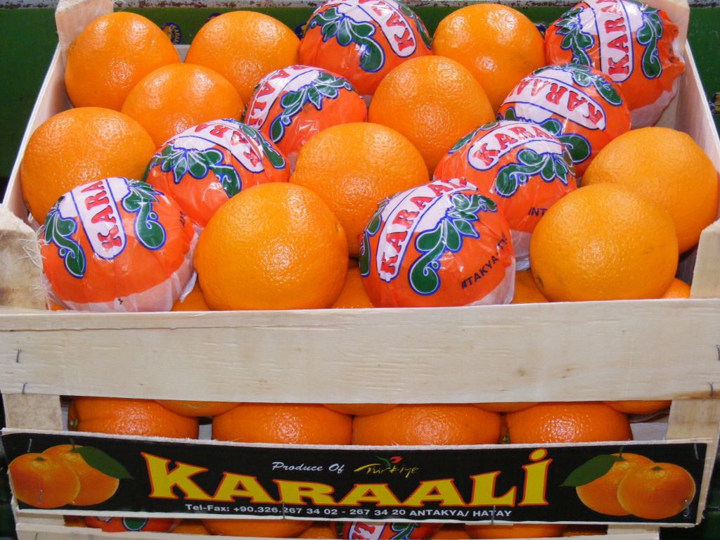 citrus fruit,cherry,grape,tomato,cucumber,pepper,pomegranate,fig,peach.pear,apricot