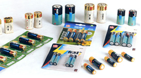 ALKALINE Zn-Mn DRY BATTERY