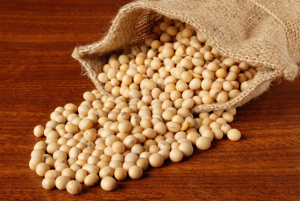 ORGANIC soybeans