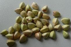 DAQIAOFANG BUCKWHEAT KERNELS