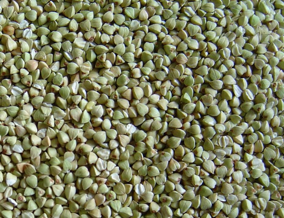 DAQIAOFANG BUCKWHEAT KERNELS