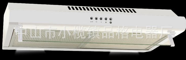 Export supply of ultra-thin 60 cm flat screen single/double motor range hoods PG208-60