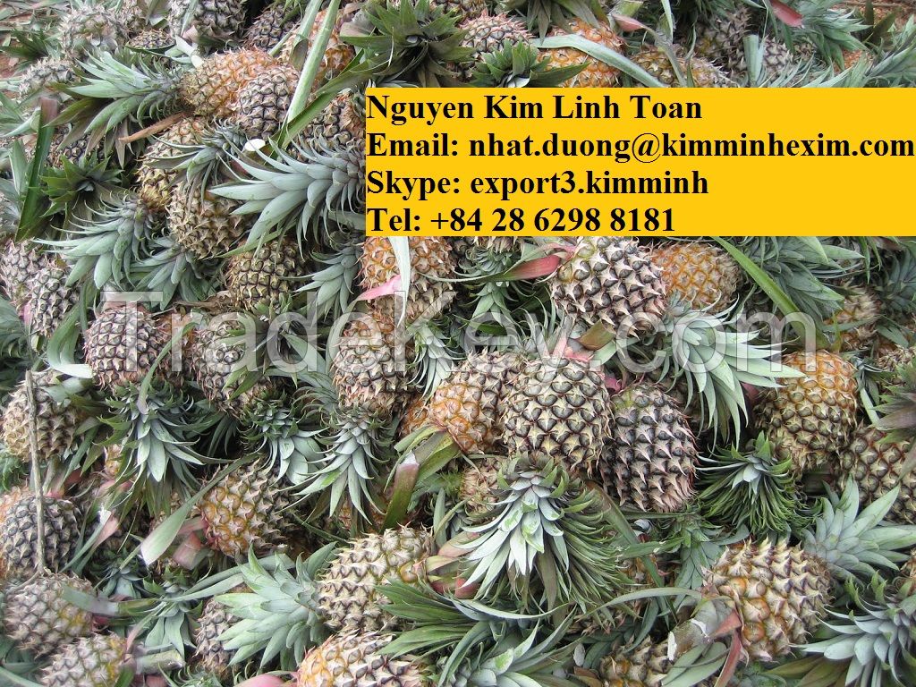 Fresh Pineapple Fruit