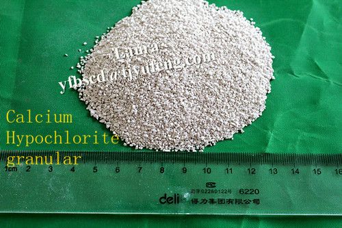 Calcium Hypochlorite 65%-70% 