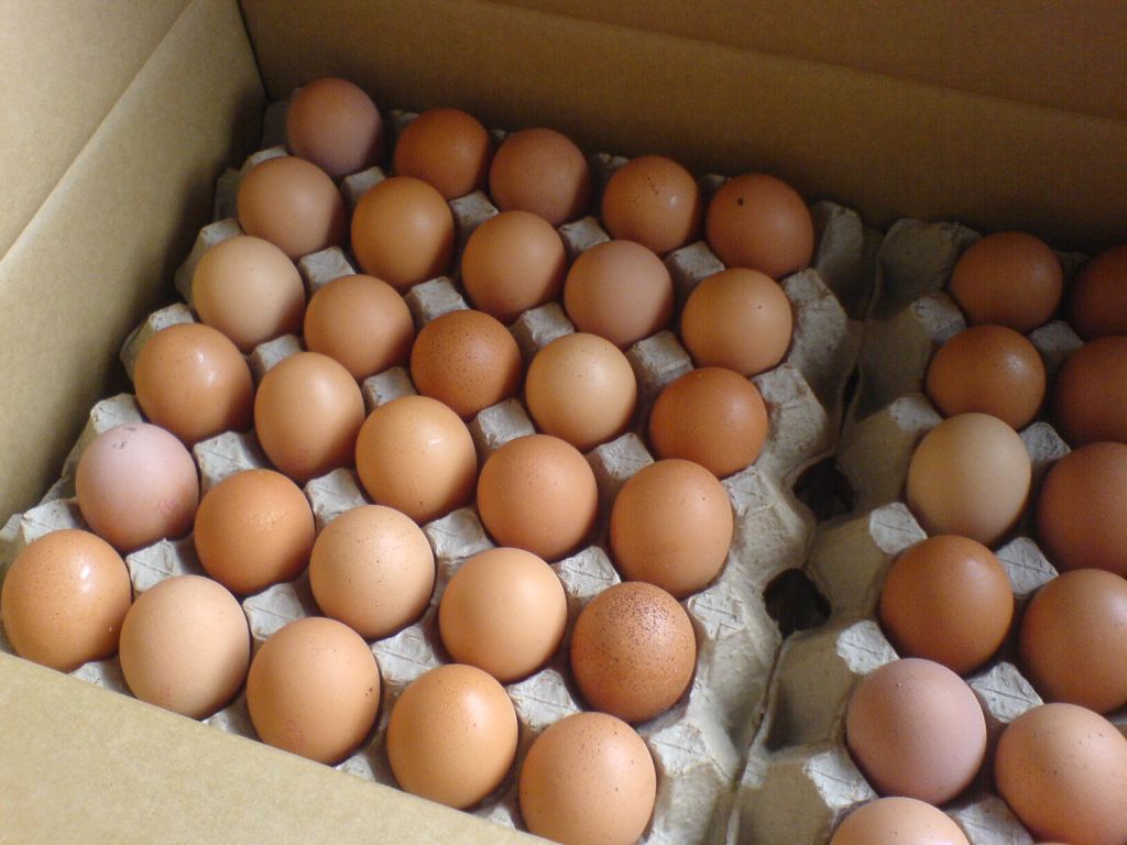 Brown Chicken Eggs