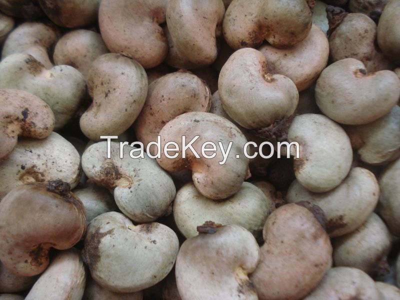 Cashew Nut