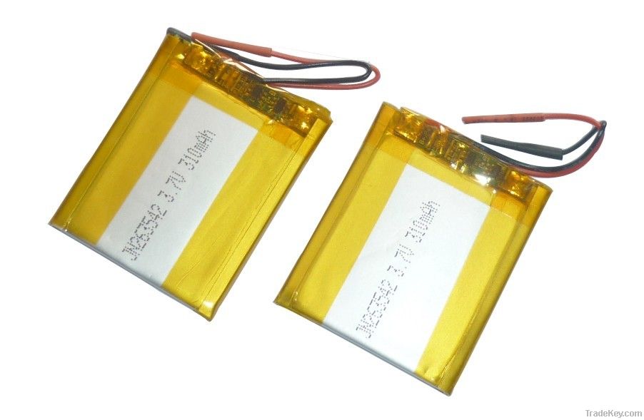 Li-polymer battery