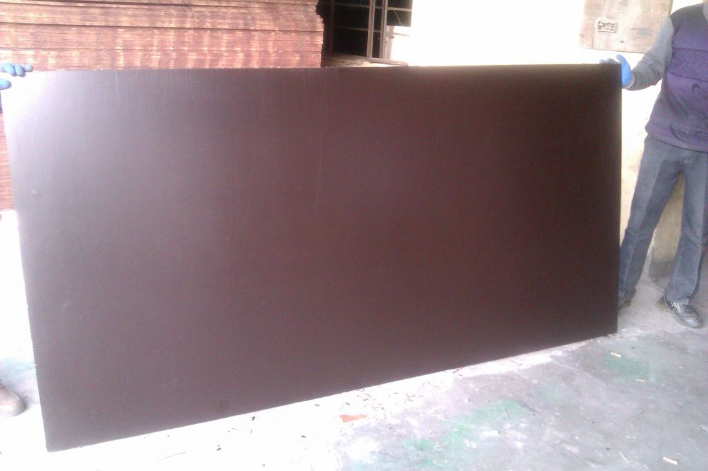 partile board Film Faced Plywood