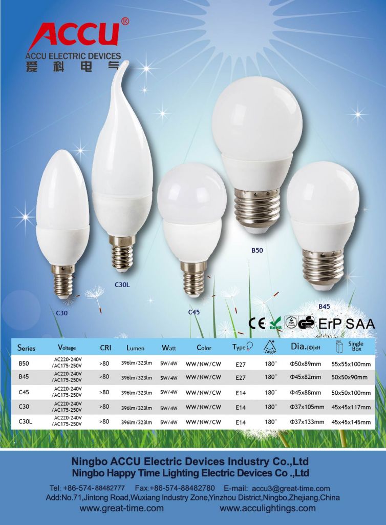 LED Bulb A60