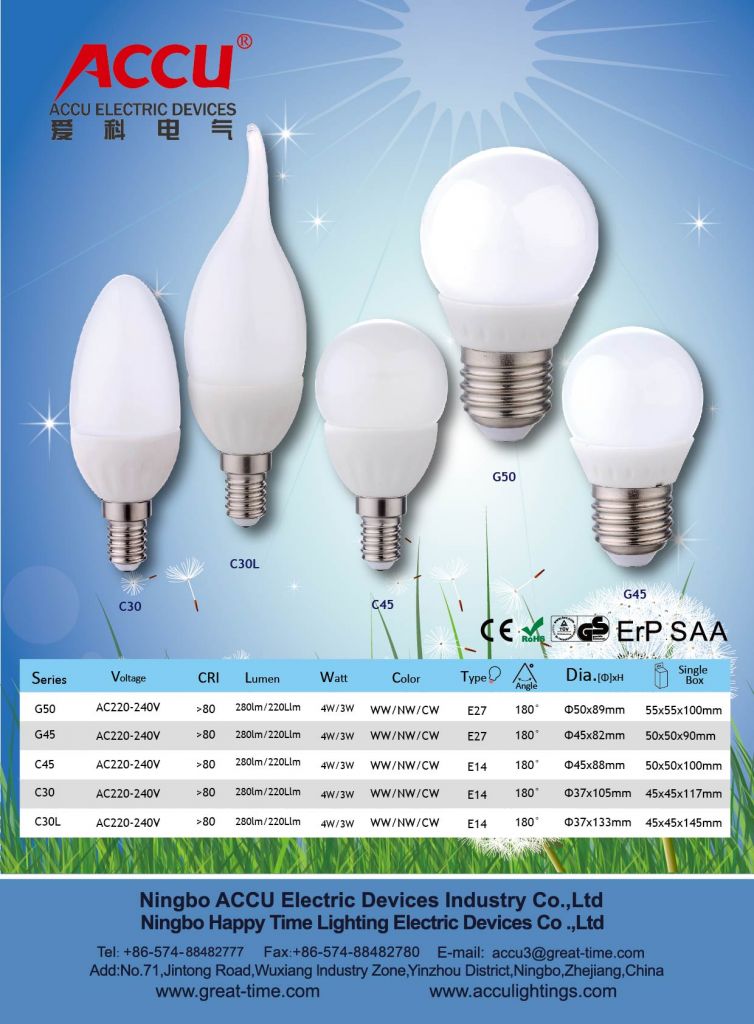 LED Bulb A60