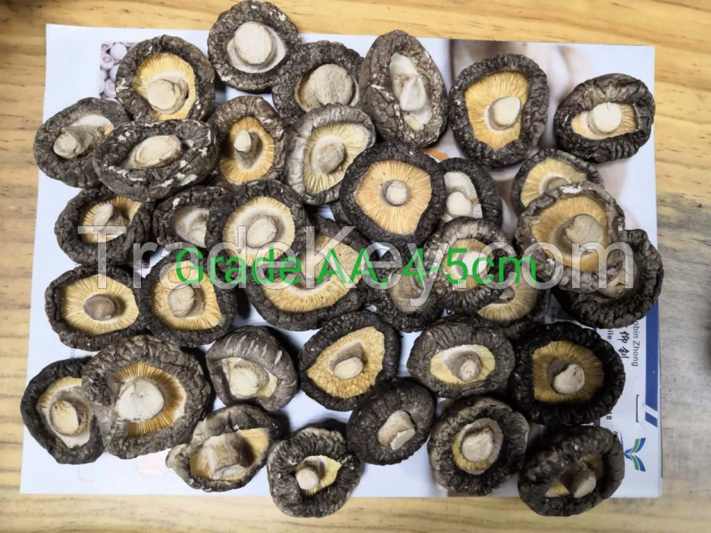 Dried Shiitake Mushroom