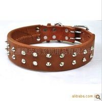 Pet Collars