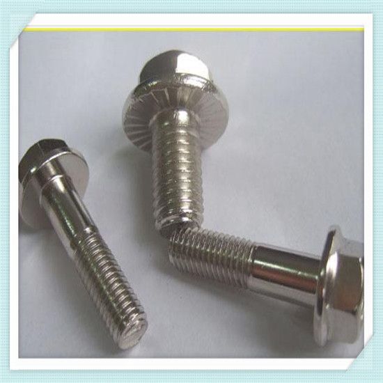 stainless steel 316 self drilling screws/hex head screw