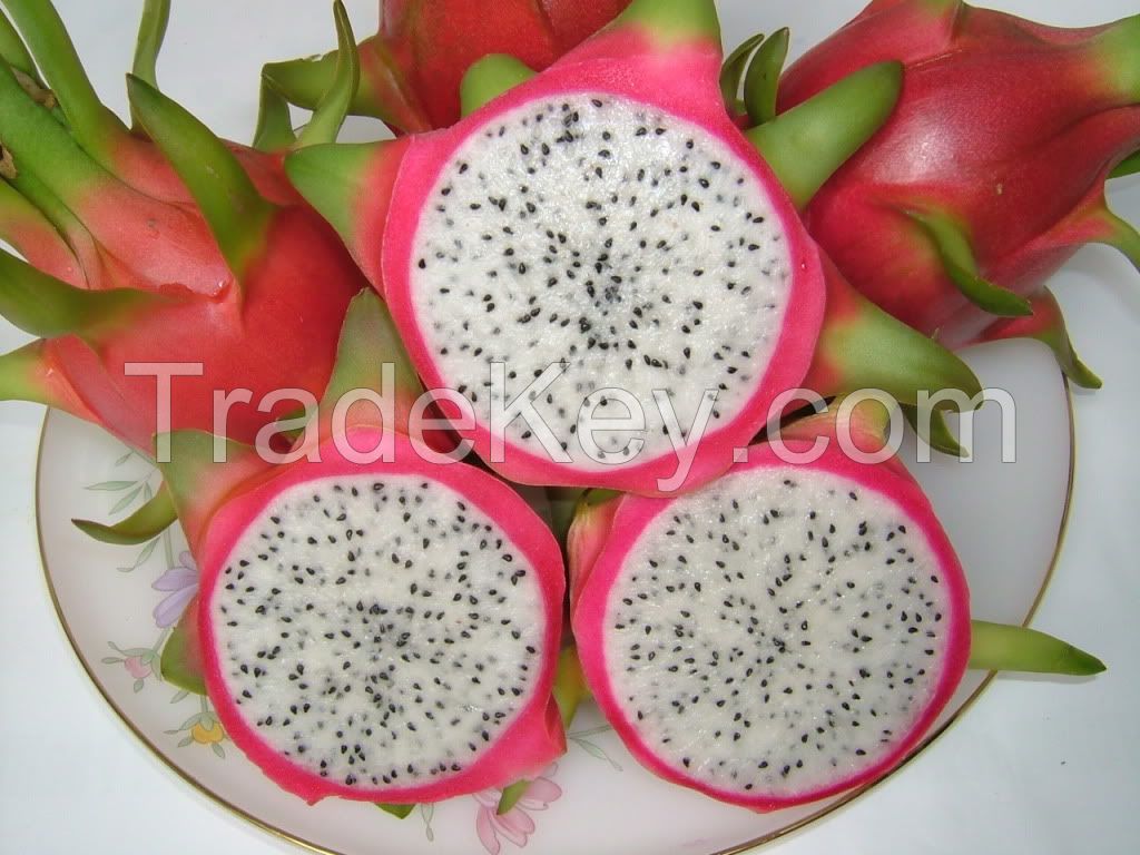 Dragon fruit