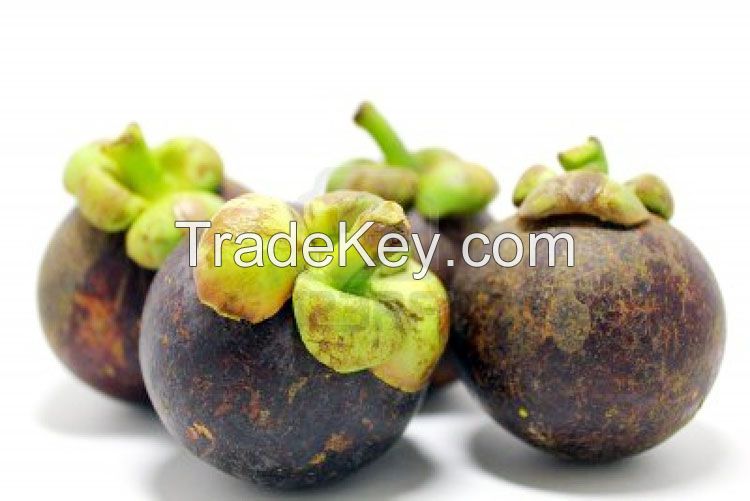 Bali Wild Mangosteen