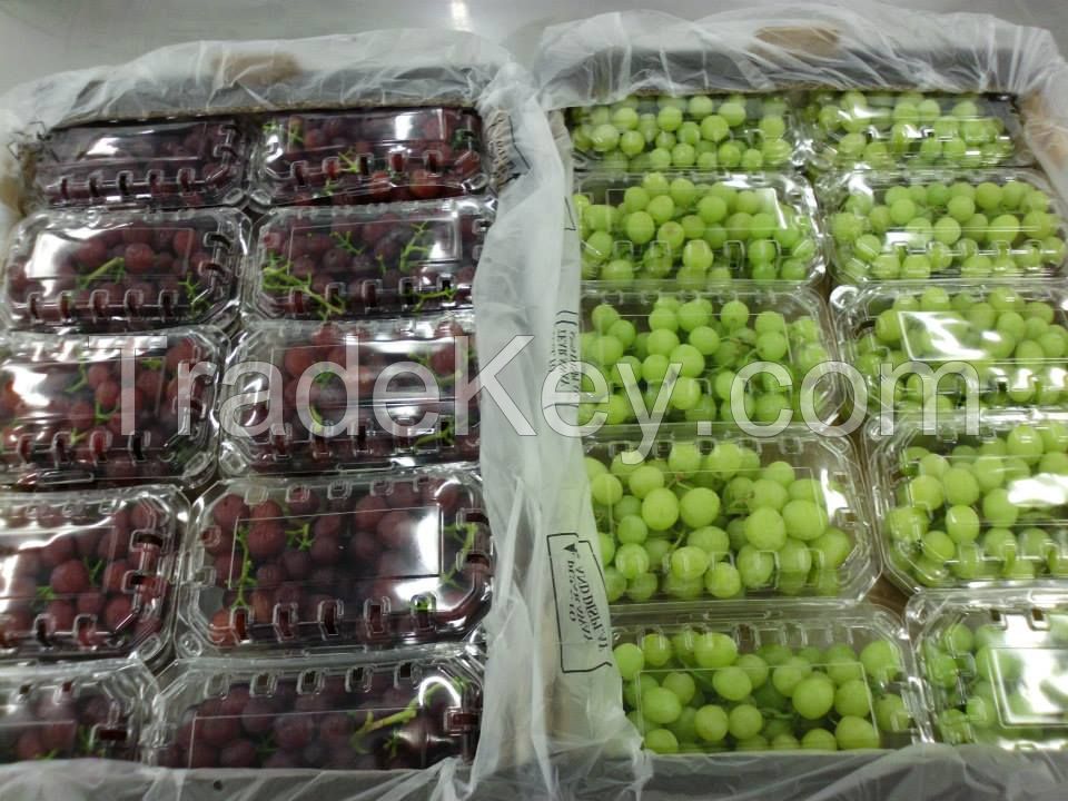 Grapes