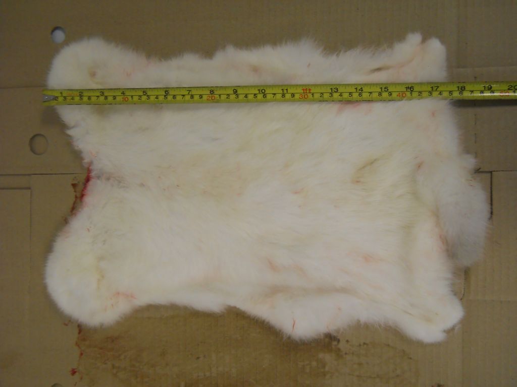 Raw rabbit fur