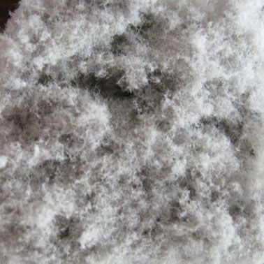 cellulose fiber