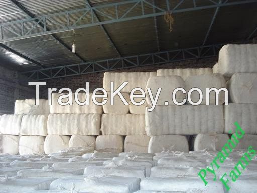 High Quality Raw Cotton