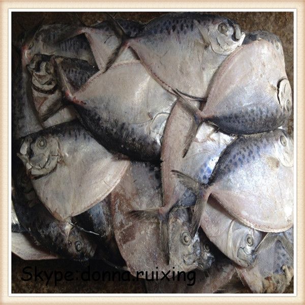 Frozen moonfish(mene maculata) for common use