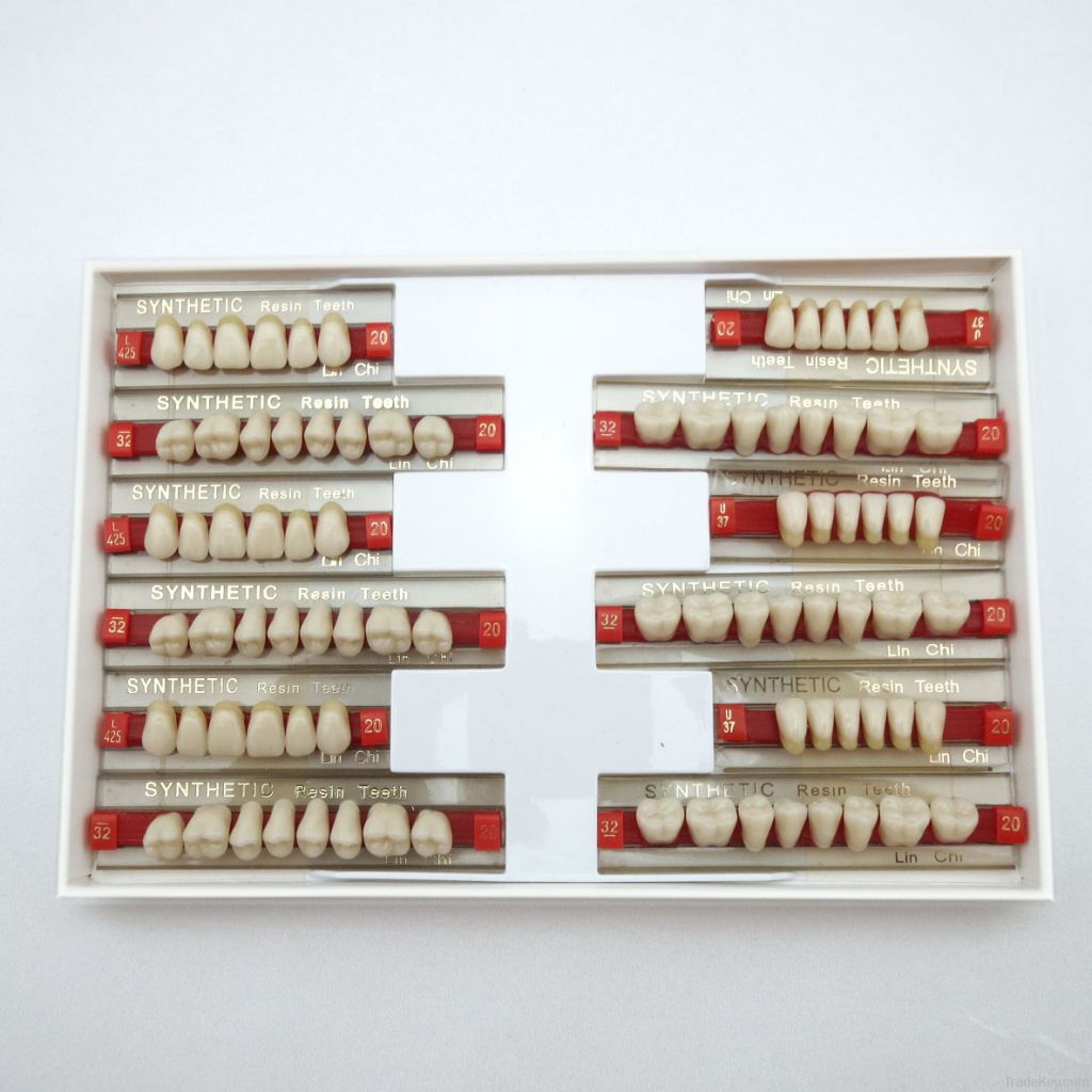 SYNTHETIC RESIN TEETH