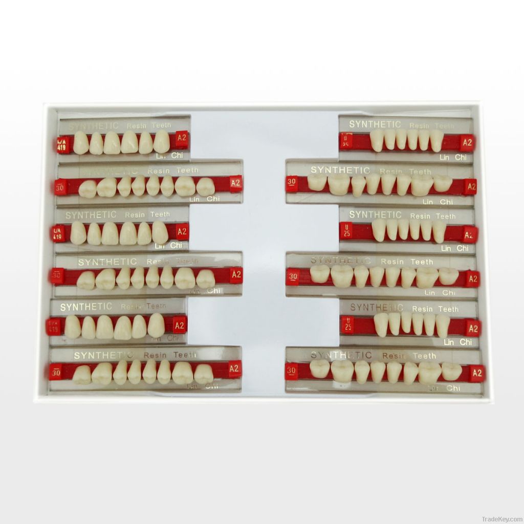 SYNTHETIC RESIN TEETH