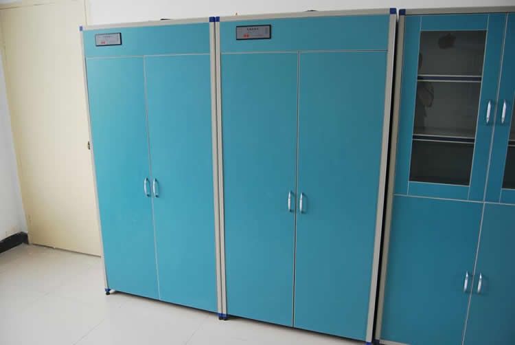 lab gas cylinder cabinet