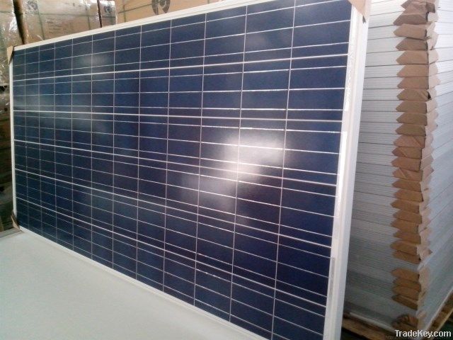 New product polycrystalline 300w cheap solar panel China