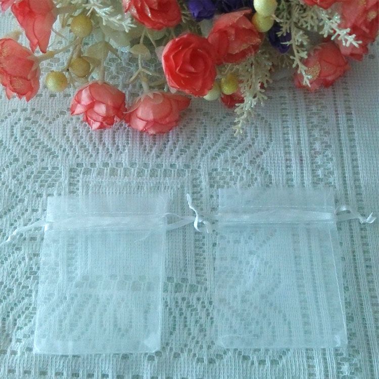 Sheer Organza Bag 